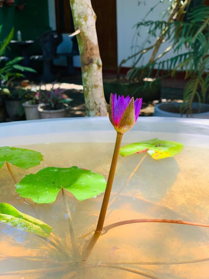 Vinu'S Place มาตารา ภายนอก รูปภาพ